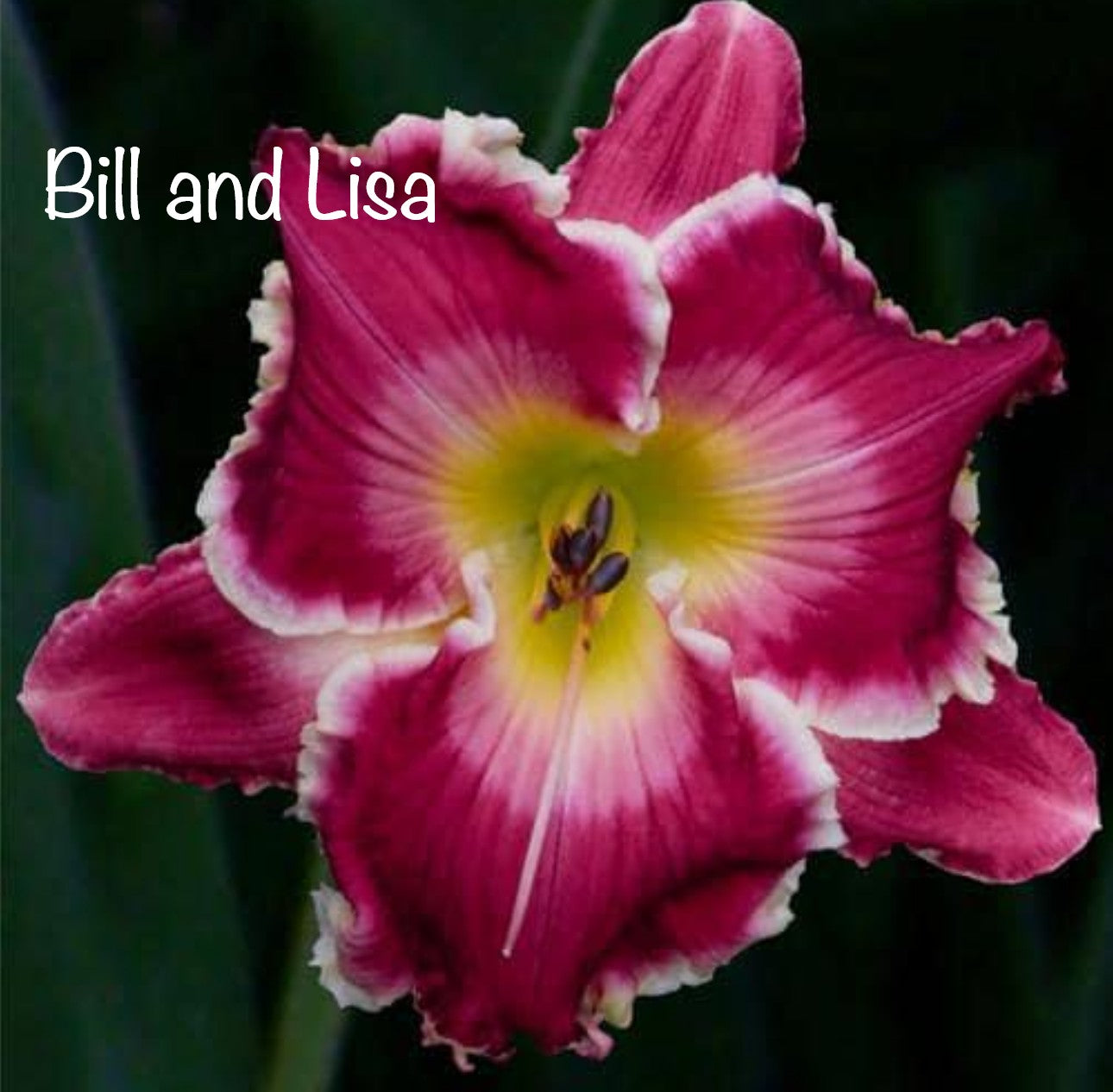 Bill and Lisa