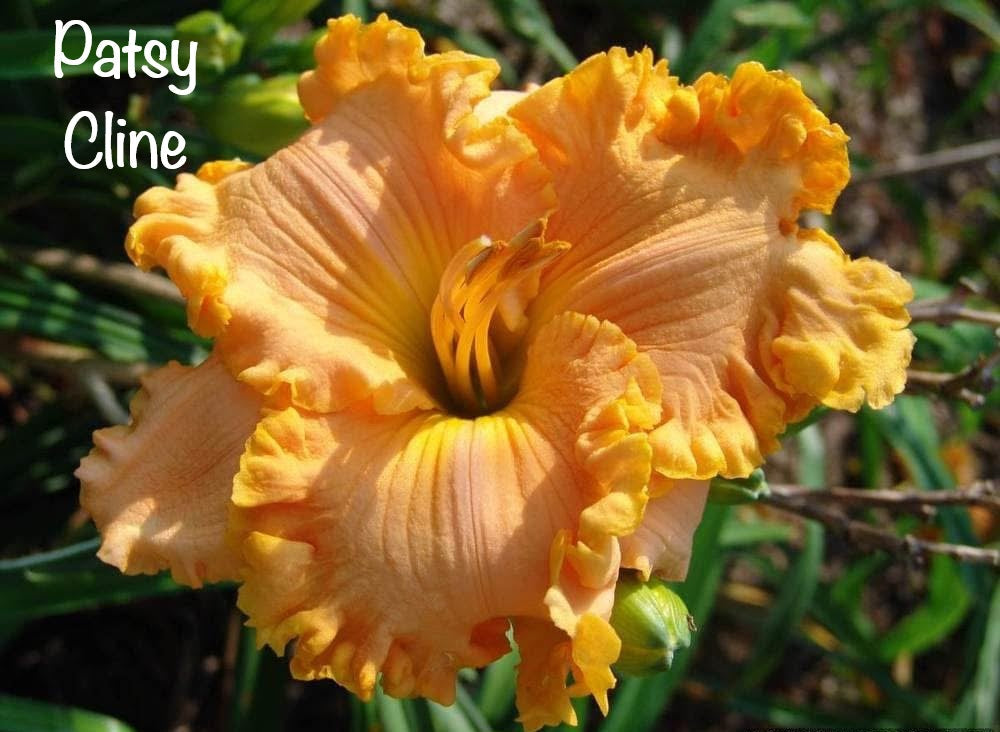 Patsy Cline
