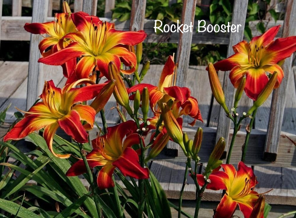 Rocket Booster