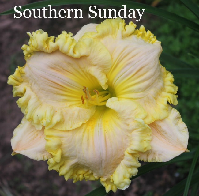 Southern Sunday