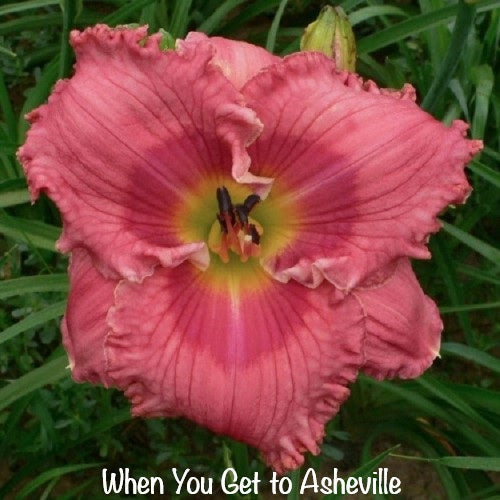 When You Get to Asheville