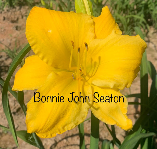 Bonnie John Seton