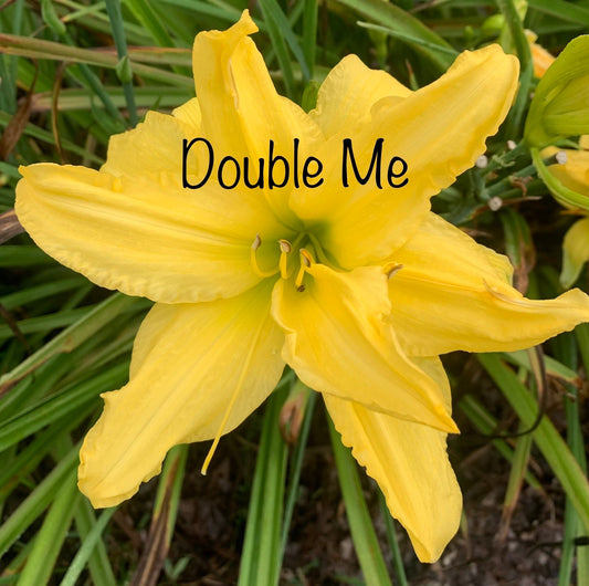 Double Me