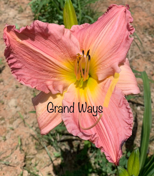 Grand Ways