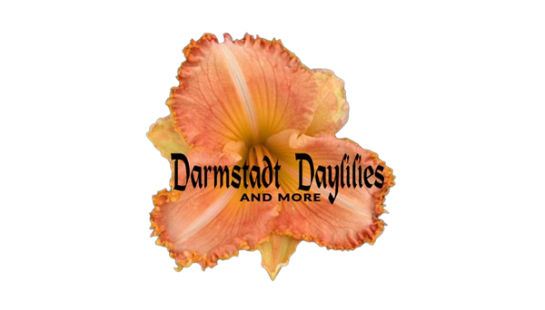 Darmstadt Daylilies & More