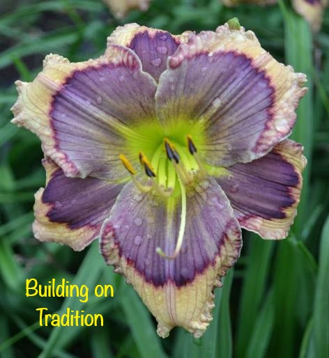 Building on Tradition