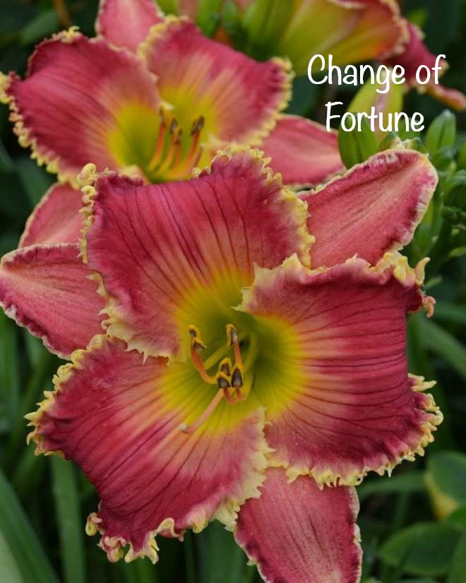 Change of Fortune