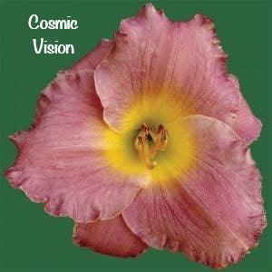 Cosmic Vision