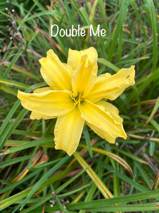 Double Me
