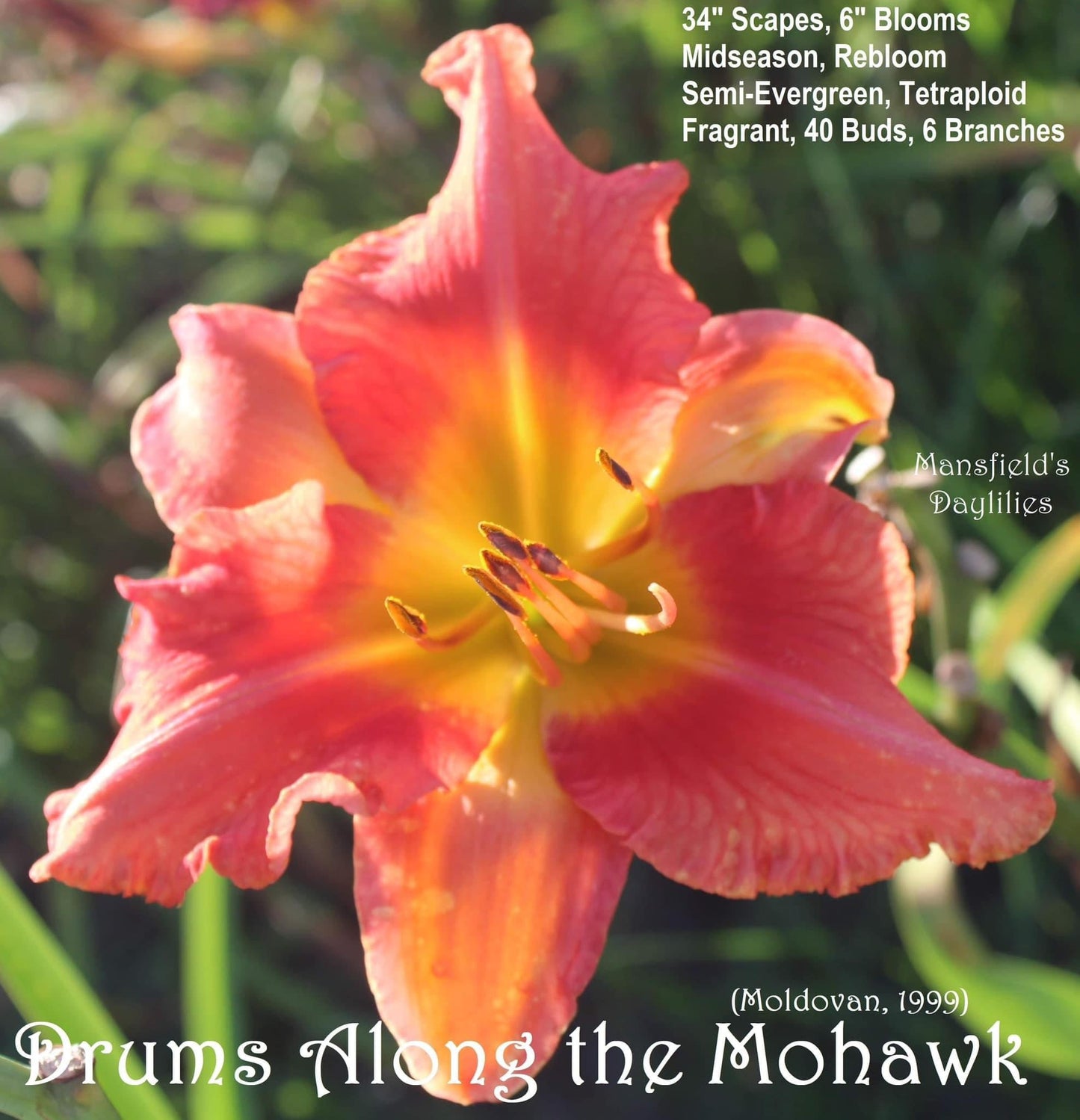 Drums along the Mohawk