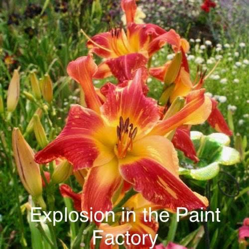 Explosion in the Paint Factory