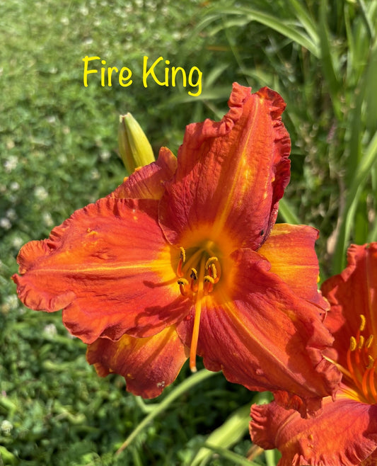Fire King