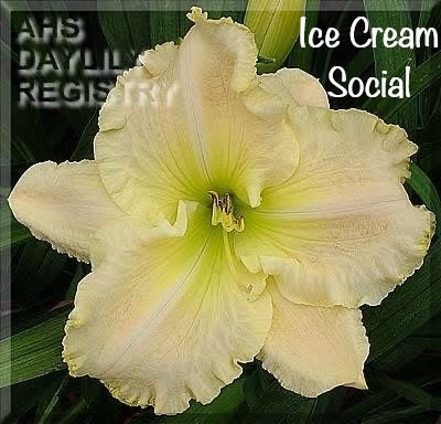 Ice Cream Social