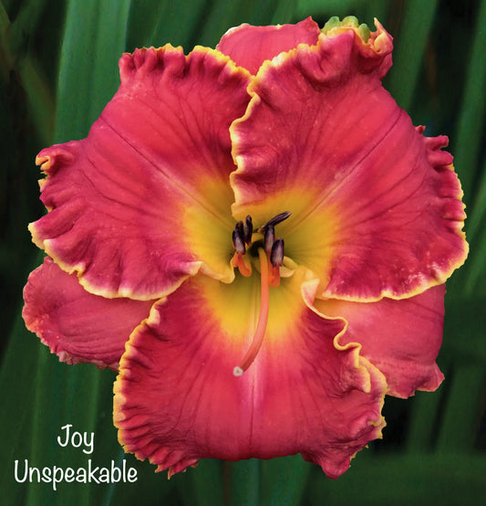 Joy Unspeakable