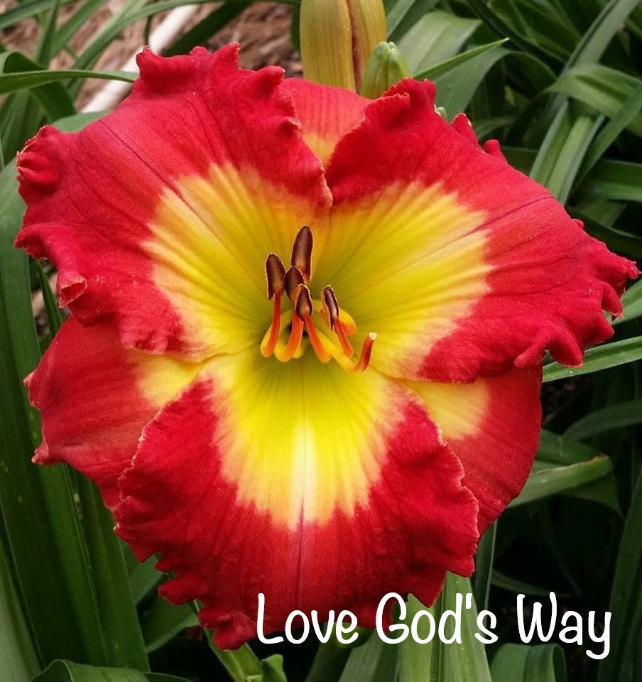 Love God's Way