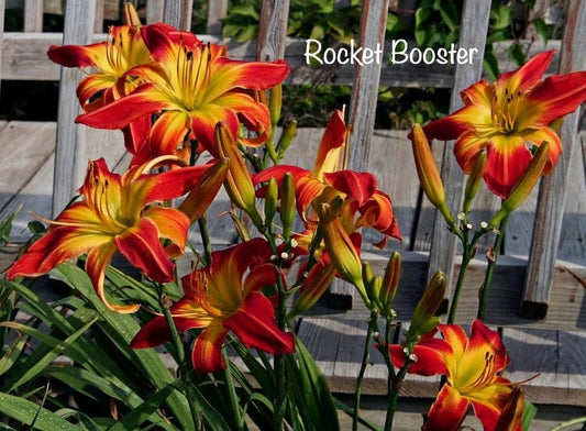 Rocket Booster