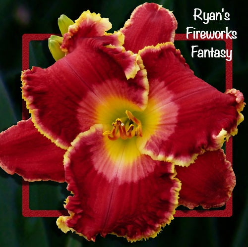 Ryan's Fireworks Fantasy