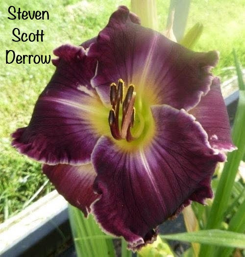 Steven Scott Derrow